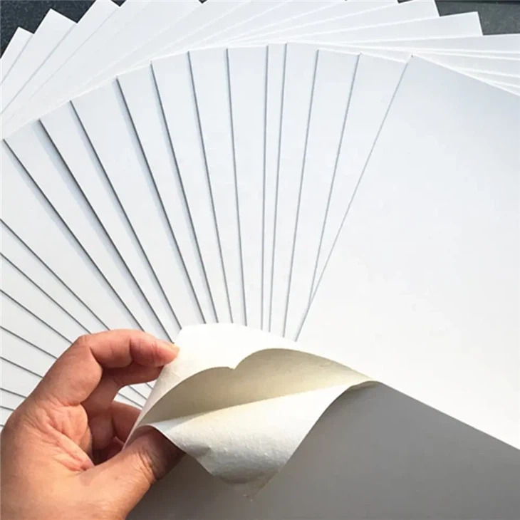 C1S (Coated One Side) Paper Board